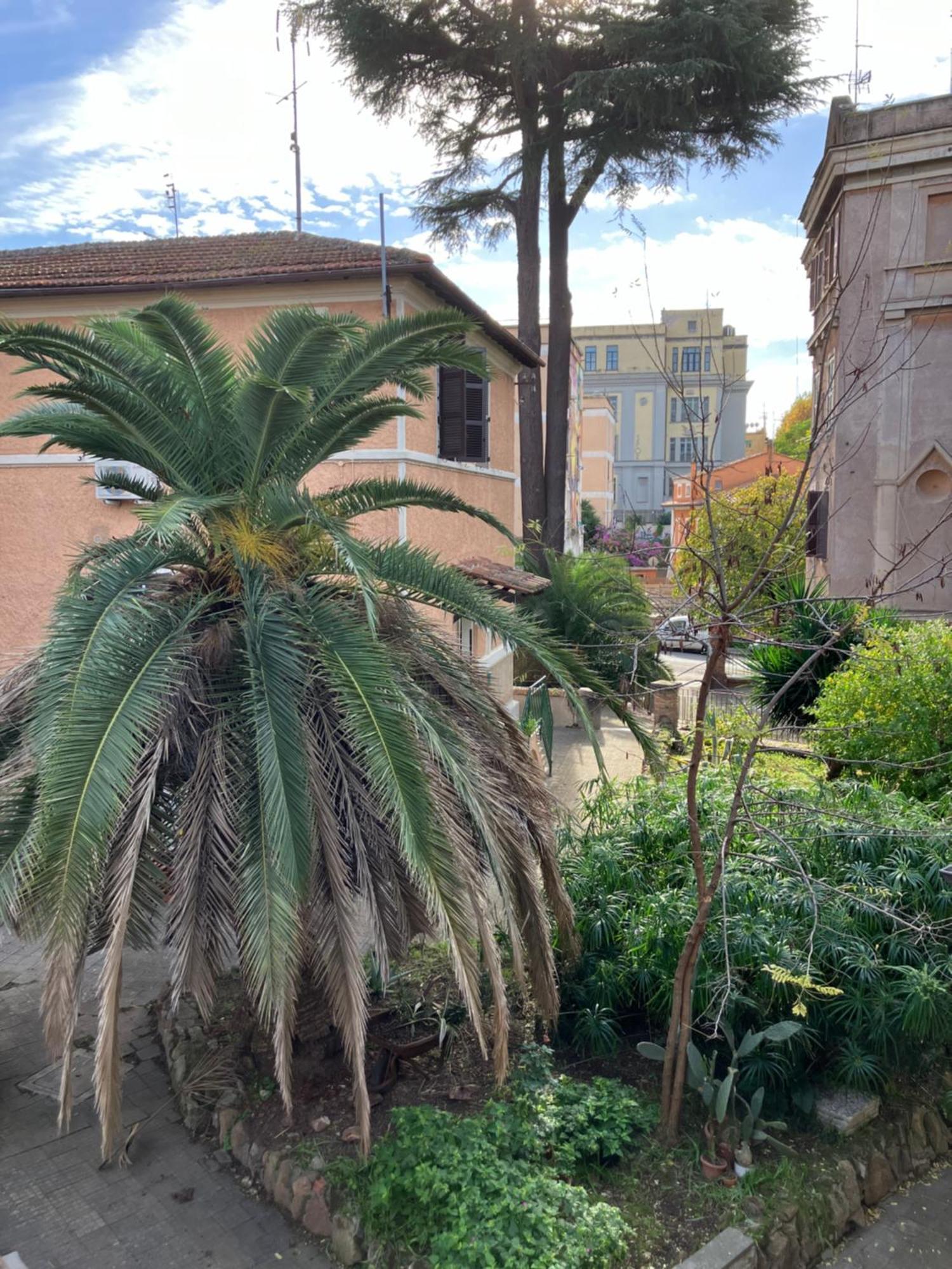 A Casa Di Alfredo Apartamento Roma